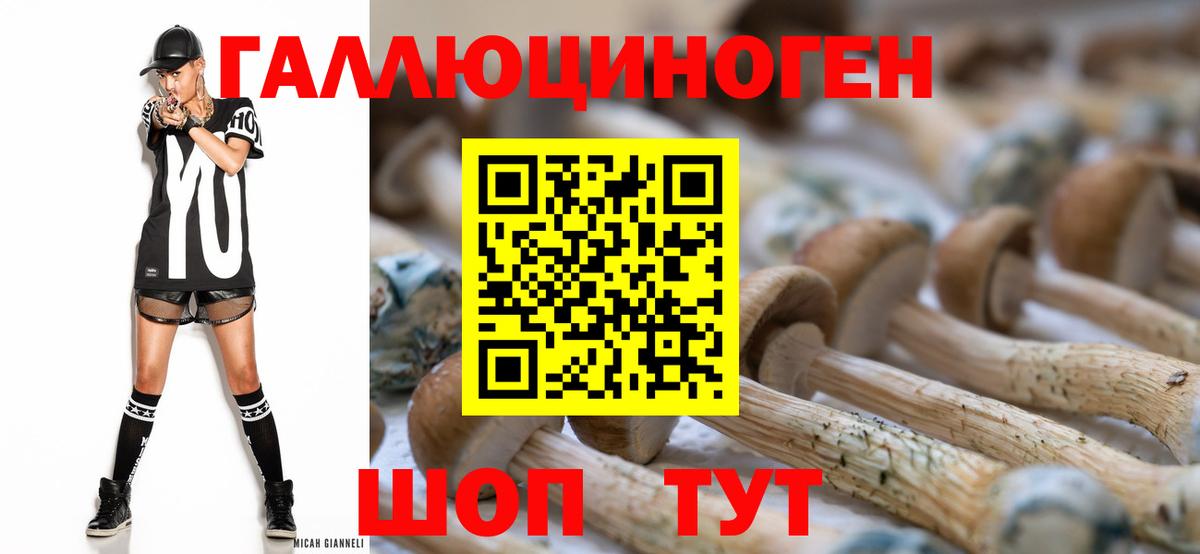 Шелехов  Псилоцибиновые грибы Psilocybe  Вход с VPN 